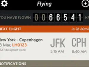 Screen der iPhone-App: "Flying"
